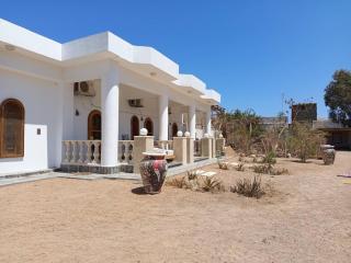 Cozy studio with a big garden - Dahab - 9