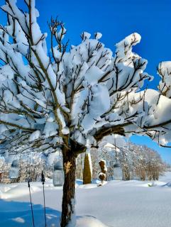 Ferienwohnung Ober - 3