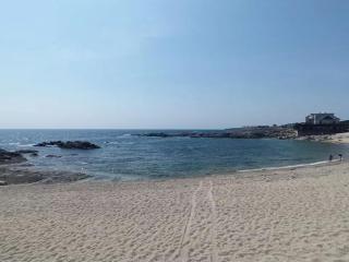 Appartement face mer avec balcon et parking, 1 chambre - FR-1-843-12 - Le Croisic - 1