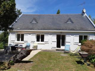 Maison 6 pers près des marais salants à Batz-sur-Mer - FR-1-843-26 - Batz-sur-Mer - 9