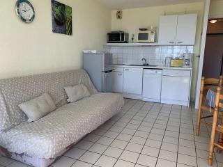 Le Croisic : 2 Pièces en Bord de Mer avec Terrasse - FR-1-843-38 - Le Croisic - 4