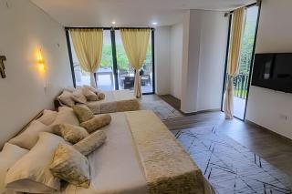 Reserva tu casa en la naturaleza con camino al río - 9