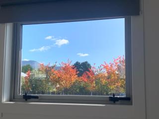 Vida - Turangi - 9
