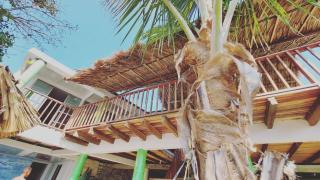 eco hotel lili - 0