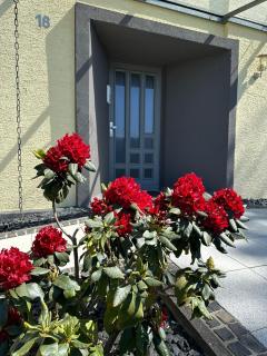 Cosmopolitan - Paderborn - 9