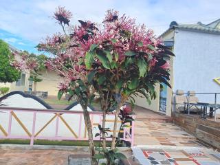 Tianyuan Nanwan Homestay - Nanwan - 4
