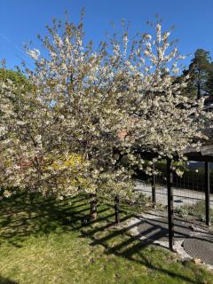 Top floor in villa with balcony, close to the sea - Saltsjöbaden - 7