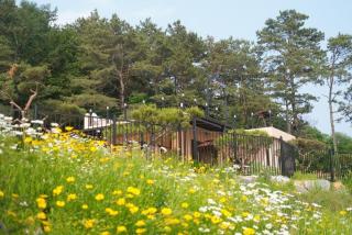 Cheonan Stay Daejeong Lake - 8