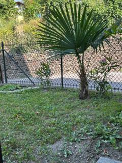 casa vacanza l'Oleandro - Poggiridenti - 8