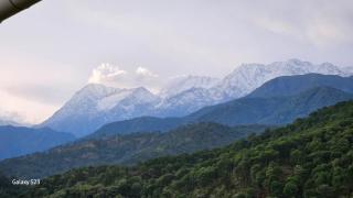 Dhauladhar Vista - Pālampur - 5