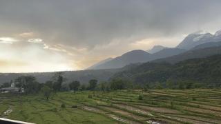 Dhauladhar Vista - Pālampur - 6
