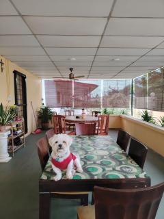 Home Stay Park - Miri - 2