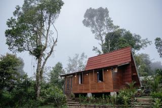 Sandan natural farm stay - Pacung - 4
