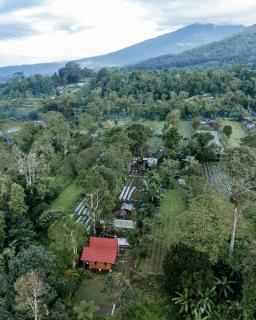 Sandan natural farm stay - Pacung - 3