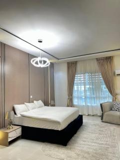 Luxury three bedroom with Pool, Gym, Ocean view in Banana Island - 5