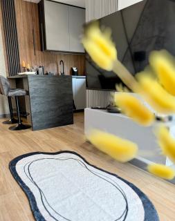 Smart Apart 62, City Center Kielce, main Square, FV, Targi, Sienkiewicza, Centrum - 6