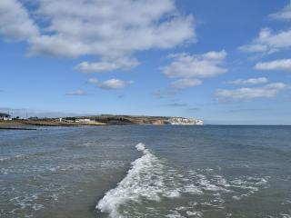 Little Lismoy - Sandown - 0