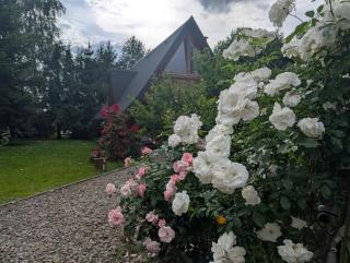 U Leona - Gorlice - 6