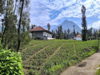 Elen Villa by ABM - Ngadisari - 6