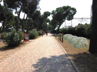 Appartamento 1 - Pineto - 1