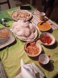 Moss Forest Cabin Wild Hikes &River Escapes with all meals - 8