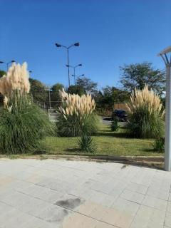 Hotel Ray - 6