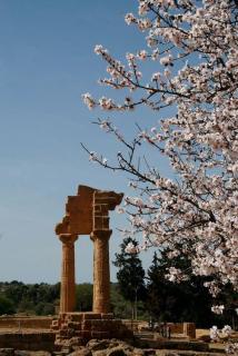 Casa di Luca - Agrigento - 4