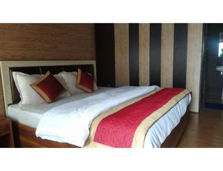 Hotel badri-nath Inn Badrinath - Badrīnāth - 9