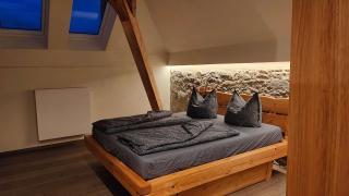 Exklusive Architektengaleriewohnung mit Sauna - Großharthau - 1