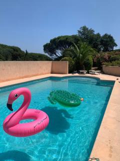 Villa bellevue sainte maxime un écrin de verdure au cœur du sémaphore piscine XXL - Sainte-Maxime - 6