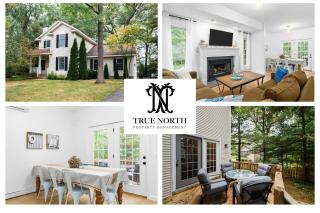 Gorogeous Chic 2BDR Renovated Home near Downtown Sleeps 6 843 - Traverse City - 9