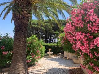 Villa bellevue sainte maxime un écrin de verdure au cœur du sémaphore piscine XXL - Sainte-Maxime - 8