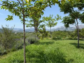 Casa de Campo Beniarbeig - Beniarbeig - 2