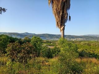 Casa de Campo Beniarbeig - Beniarbeig - 6
