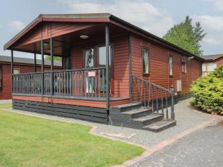Snowdrop - Leominster - 9