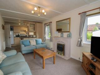 Snowdrop - Leominster - 4