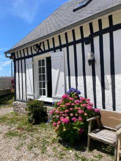 l'Epic'rie - Saint-Martin-aux-Buneaux - 9