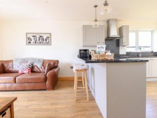 Bryn Bras - Corwen - 5