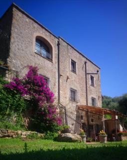 Agriturismo LE CASE ROTTE - Balestrino - 0