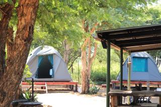 Tlou Safari Camp - Pilanesberg - 0