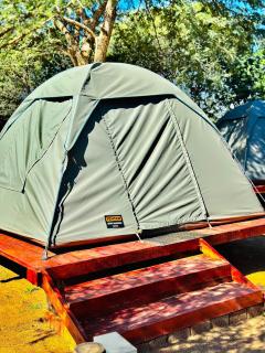 Tlou Safari Camp - Pilanesberg - 1