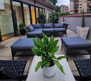 Lux Pyrmont 1 Bed Apt - Parking & Pool Access - Sydney - 8