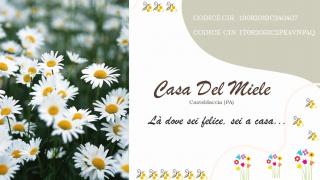 Casa del miele - Casteldaccia - 2