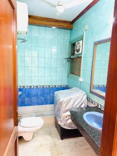 Divine India Service Apartment, Studio E- 30 - Neu-Delhi - 1