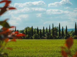 Dolce Casa 1 by Tiny Away - Arezzo - 7