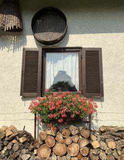 Vilijev Raj, a property with cottage in the countryside - Avče - 8