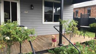 Cottage on Lords - 2