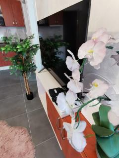 Apartman Goga 2 - Veliko Gradište - 2