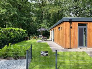 Luxury bungalow Woldzicht - Appelscha - 8