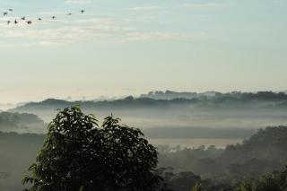 The Dragonfly Retreat - Nambour - 5
